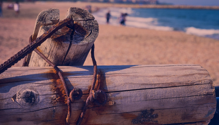 推特的一位早期投资者表示，埃隆·马斯克是“孤身一人”，并在快速变化中“即兴发挥”