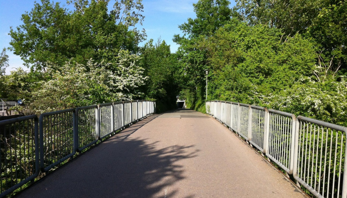 16岁的男孩因砍伐哈德良长城旁的标志性“罗宾汉树”而被捕 16岁的男孩因砍伐哈德良长城旁的标志性“罗宾汉树”而被捕