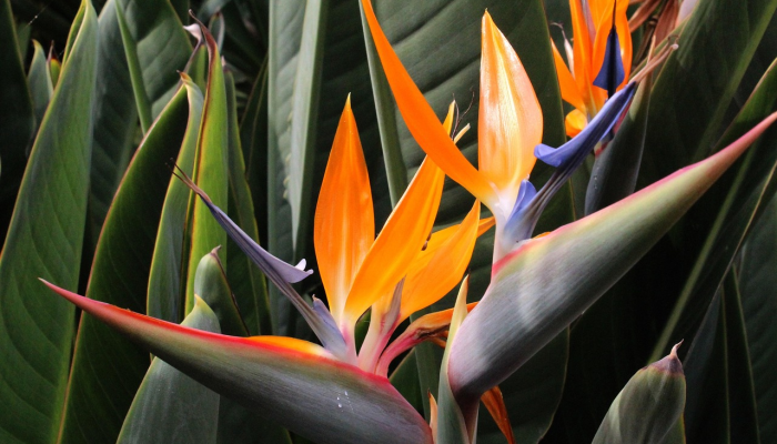 君主:怪物之星的遗产揭示了君主的最大问题 君主:怪物之星的遗产揭示了君主的最大问题