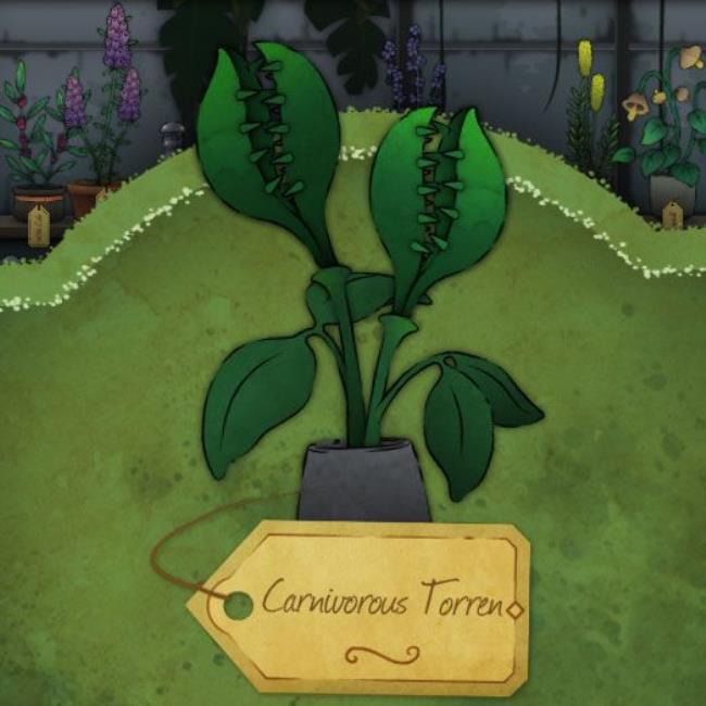 Strange-Horticulture's map and various navigation tools