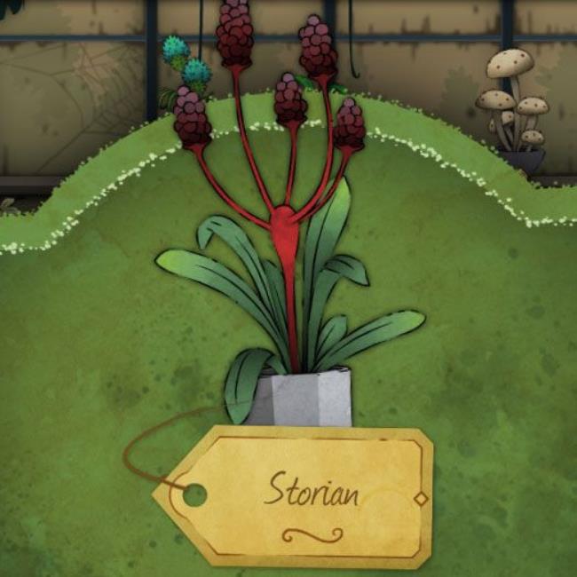 A plant with a red stalk and small clusters of red fruits and flat leaves that are mostly upright. It is called Storian in Strange Horticulture.