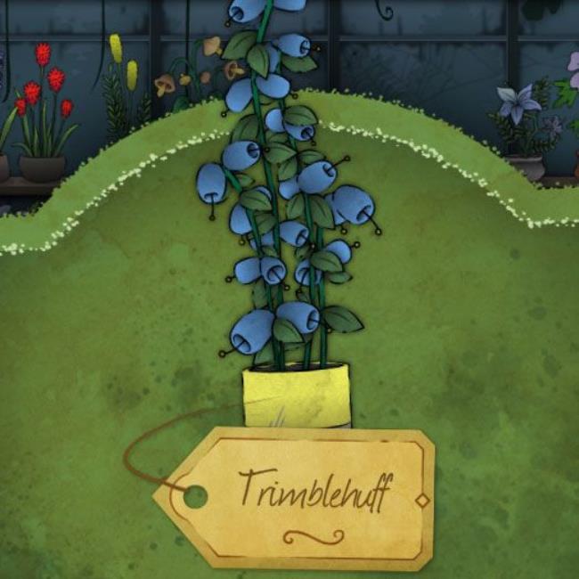 A purple clustered flower and remarkably sharp leaves that grow up and outward, resembling wild grass called Dranthium in Strange Horticulture.