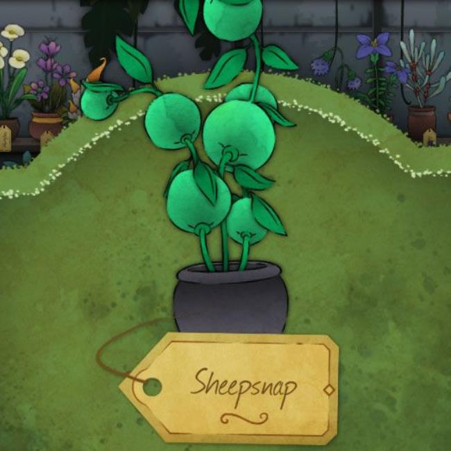 A strange turquoise plant that has many baubles. Very round. It is called Sheepsnap in Strange Horticulture.