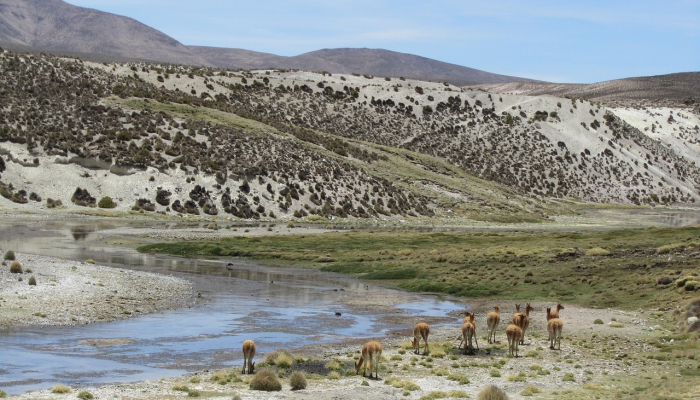 土耳其和希腊的关系进入了一个新的、积极的时代:Fidan 土耳其和希腊的关系进入了一个新的、积极的时代:Fidan