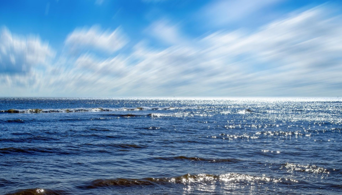 在美国马萨诸塞州与牡蛎利益相关者讨论微塑料污染时,话语的重要性 在美国马萨诸塞州与牡蛎利益相关者讨论微塑料污染时,话语的重要性