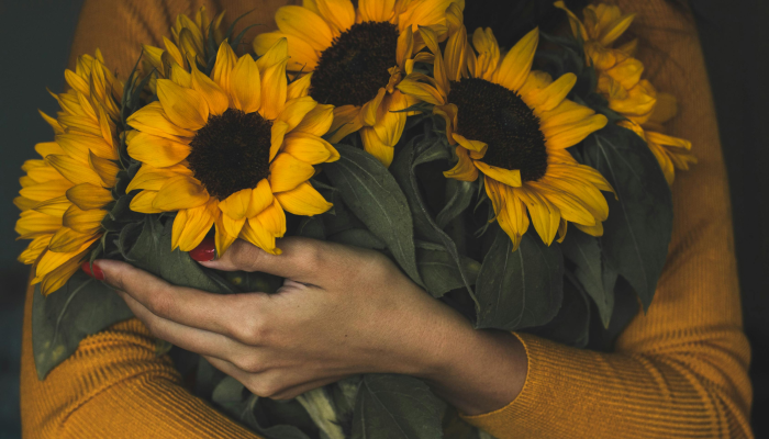 向日葵田的主人恳求游客不要脱衣服 向日葵田的主人恳求游客不要脱衣服