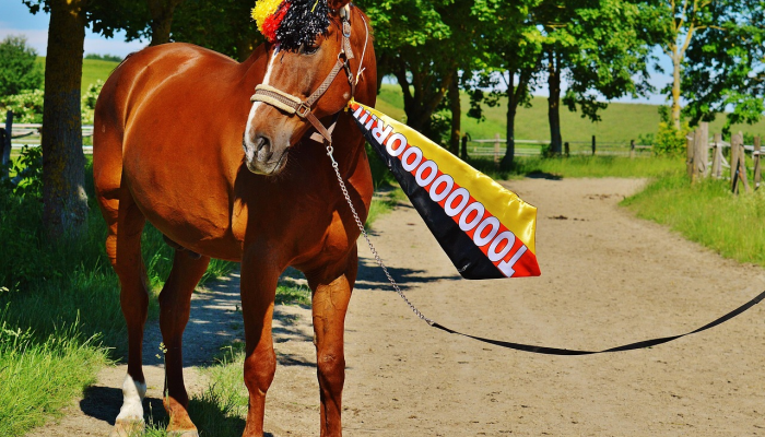 匹克球在佩塔卢马老少皆喜爱