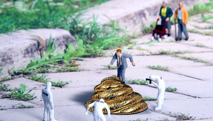 安达卢西亚:Do?ana的环境宝藏受到干旱和非法水井的威胁 安达卢西亚:Do?ana的环境宝藏受到干旱和非法水井的威胁