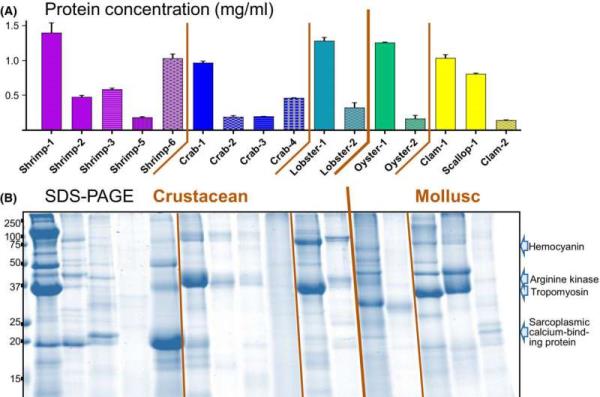 切尔西队长里斯·詹姆斯在承认对裁判有“辱骂行为”后被禁赛一场 切尔西队长里斯·詹姆斯在承认对裁判有“辱骂行为”后被禁赛一场