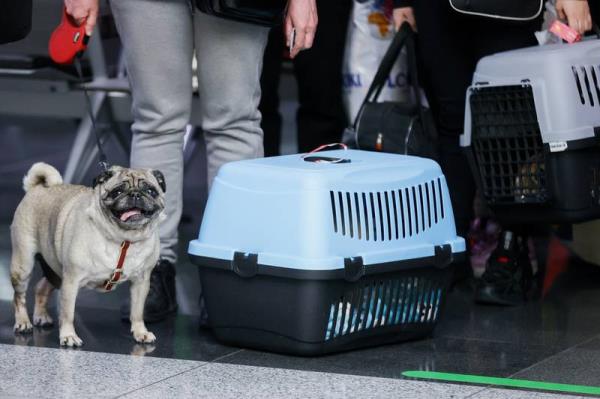 为什么西雅图反种姓法是美国安贝德卡莱特运动的里程碑时刻