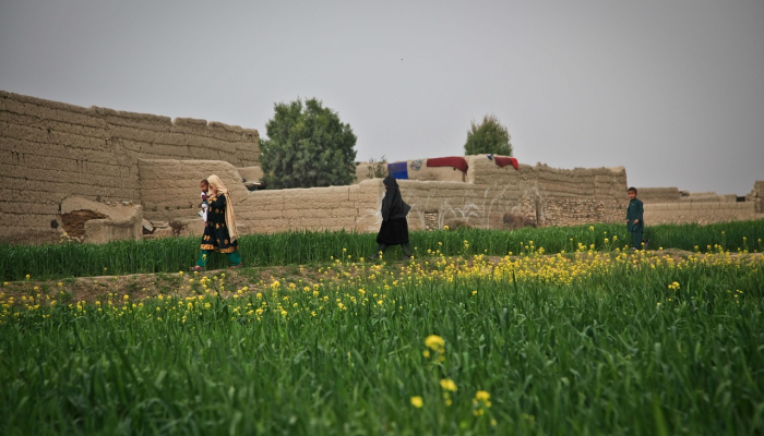 “哈马斯学到了希特勒仇恨犹太人的意识形态”：以色列总统艾萨克·赫尔佐格说，在《我的坎普》的副本中发现了一名战士