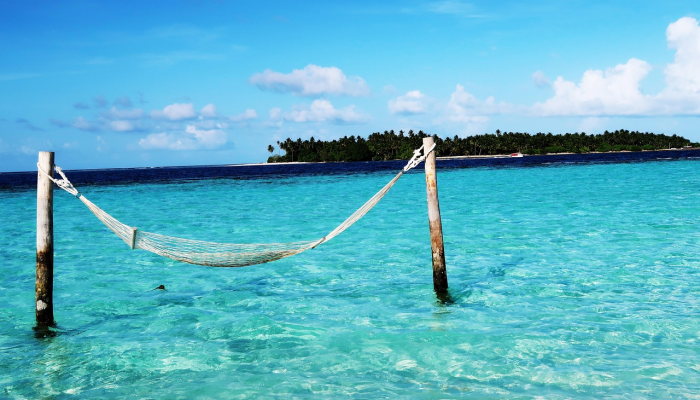 在多莉·帕顿新开的“高级时尚乡村”度假村里 在多莉·帕顿新开的“高级时尚乡村”度假村里