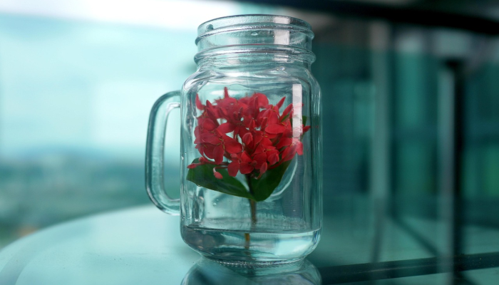 如何制作一个家庭爱心罐