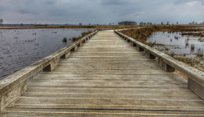 希腊消防员奋力控制山火,其中包括欧盟最大的大火 希腊消防员奋力控制山火,其中包括欧盟最大的大火