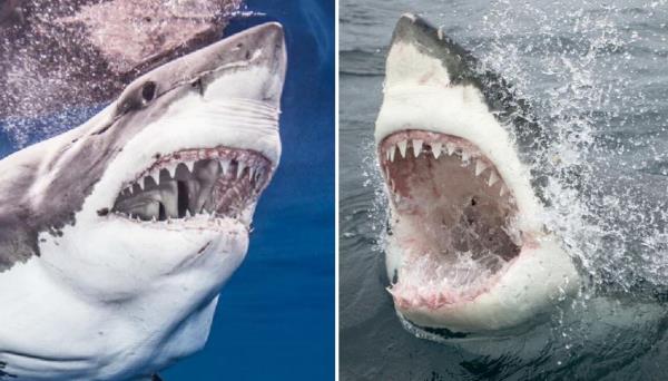 最新教你“湘中娱乐有挂吗”(曝光透视必备猫腻)