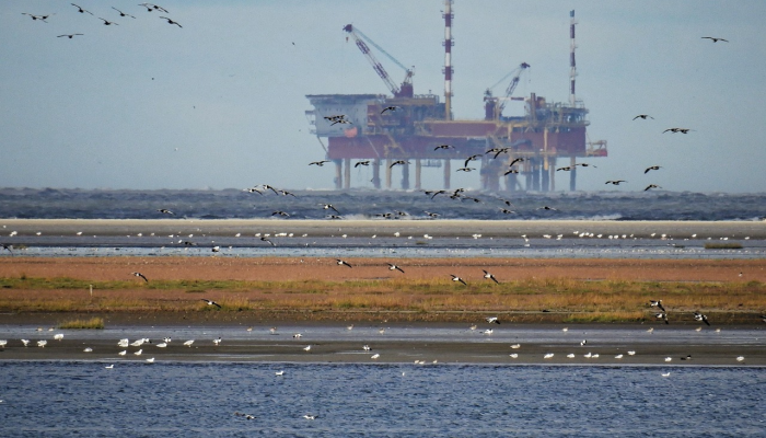 巴士拉原油收低,但全球油价上涨 巴士拉原油收低,但全球油价上涨
