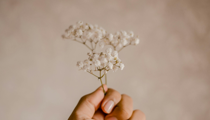 可用版本“花花生活圈外卦神器”其实确实有挂