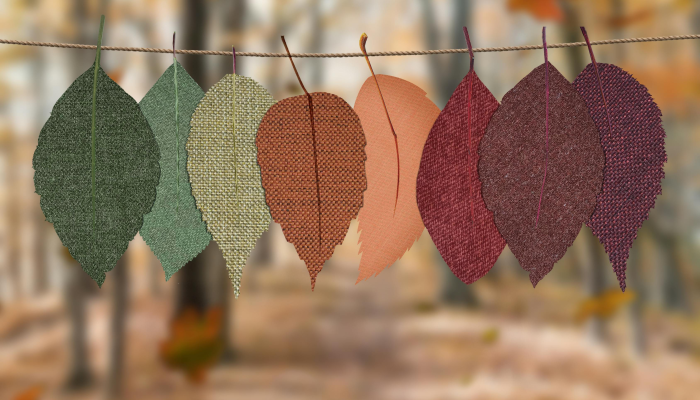 可用版本“花花生活圈外卦神器”其实确实有挂