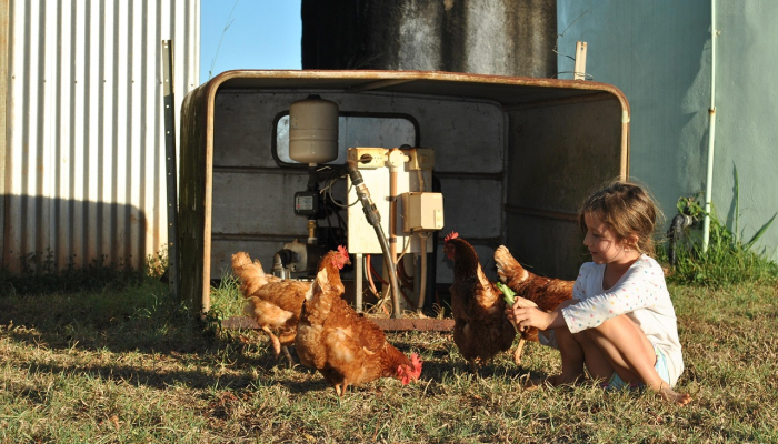 开挂辅助工具“开心泉州麻将开挂神器下载安装!分享用挂教程 开挂辅助工具“开心泉州麻将开挂神器下载安装!分享用挂教程
