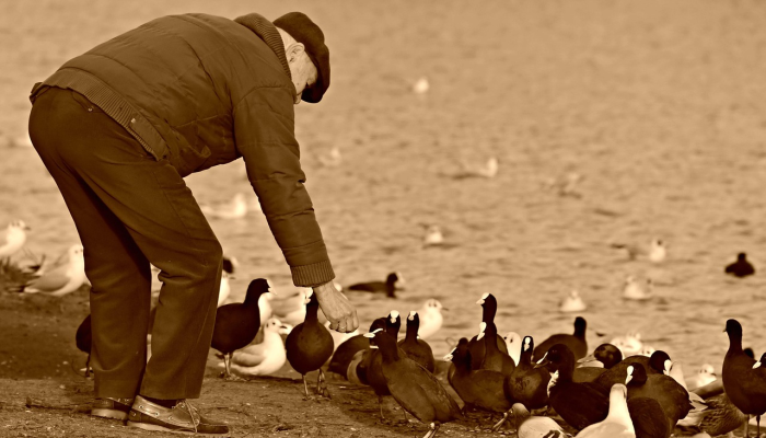 在垃圾桶里发现女人的躯干——导致好莱坞一线经纪人的儿子被捕! 在垃圾桶里发现女人的躯干——导致好莱坞一线经纪人的儿子被捕!