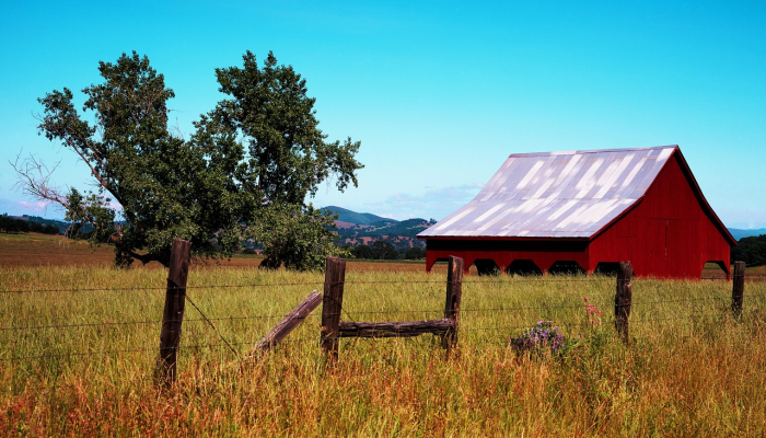 加州大学圣巴巴拉分校的实验性“静态电影”屏幕 加州大学圣巴巴拉分校的实验性“静态电影”屏幕