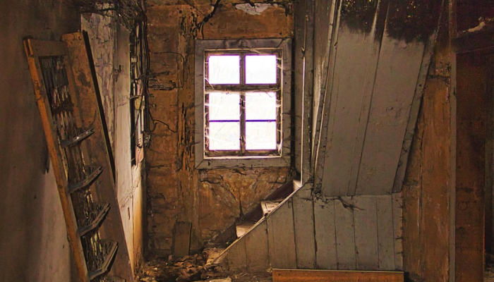 在“准备致命蘑菇午餐”的女子家中发现令人毛骨悚然的“死亡墙” 在“准备致命蘑菇午餐”的女子家中发现令人毛骨悚然的“死亡墙”