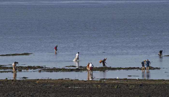 四人在严寒中试图穿越英吉利海峡前往英国 四人在严寒中试图穿越英吉利海峡前往英国