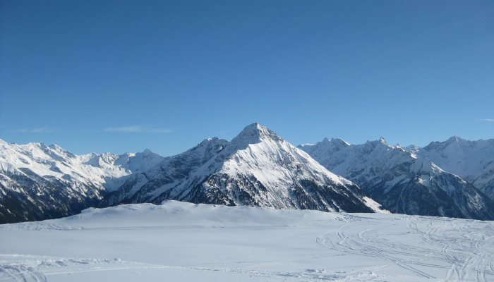 辅助神器“雀神麻将广东麻将怎么打胜率高”详细开挂玩法