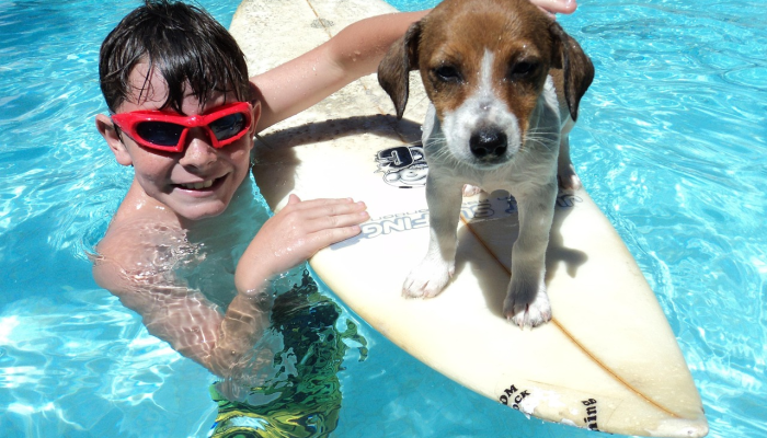 南澳大利亚海域，一名15岁的冲浪少年在第三次鲨鱼袭击中死亡