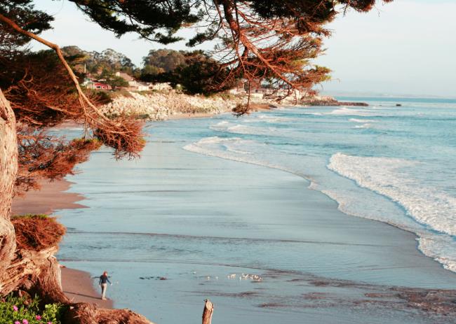 辅助神器“桂麻圈有挂吗”详细开挂玩法