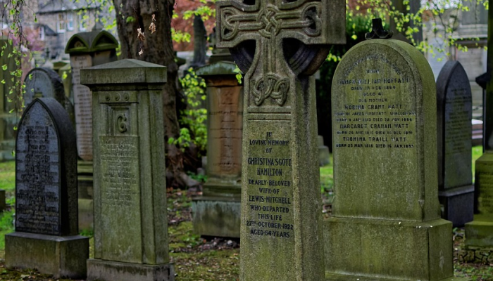 洛根·韦伯在巨人队9-1战胜落基队的比赛中结束了他的3场比赛 洛根·韦伯在巨人队9-1战胜落基队的比赛中结束了他的3场比赛