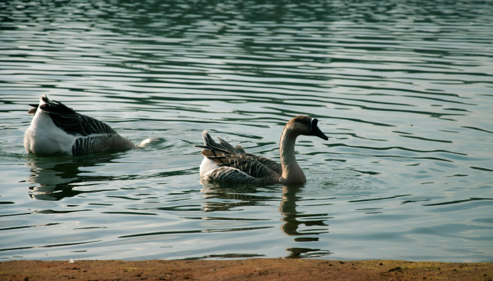 帕加萨：星期六多云，大部分地区有可能下雨，因为“阿米汉”