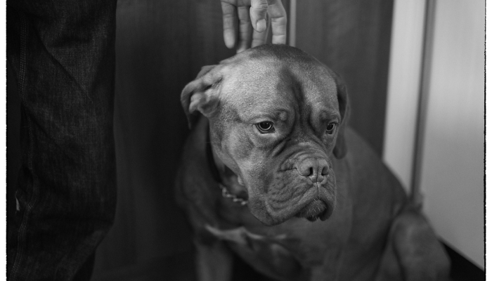 教练Prime在科罗拉多的第二场比赛突出了第二周不败的Pac-12