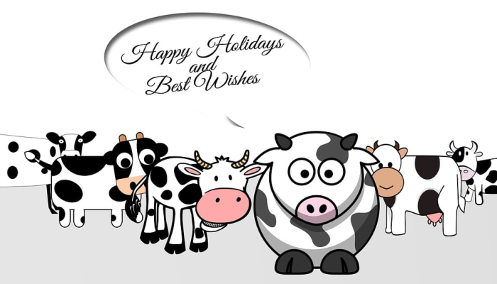 玩家必看教程“微乐安徽麻将万能开挂器”(原来确实是有挂)