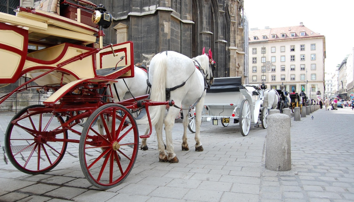 玩家必看教程“微乐贵阳麻将怎样免费开挂!详细分享装挂步骤