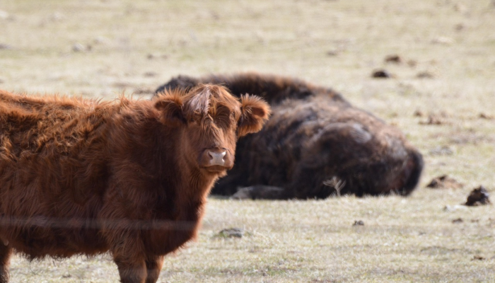 玩家辅助神器：“鑫豪天地有没有挂”(原来确实是有挂)