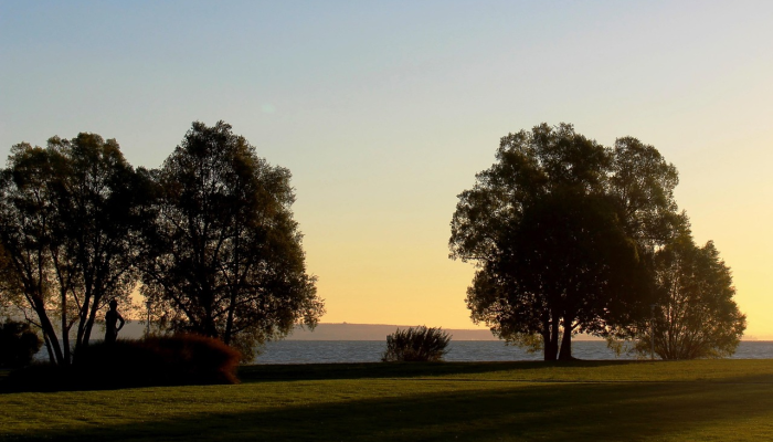 开挂辅助工具“长虹大厅炸金花有没有挂”(曝光透视必备猫腻) 开挂辅助工具“长虹大厅炸金花有没有挂”(曝光透视必备猫腻)
