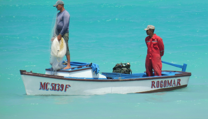 万能开挂辅助“九天大厅开挂透视软件”开挂(透视)辅助教程 万能开挂辅助“九天大厅开挂透视软件”开挂(透视)辅助教程