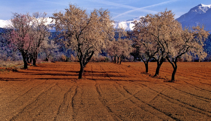 最新教你“财神十三水程序破解”(曝光透视必备猫腻)
