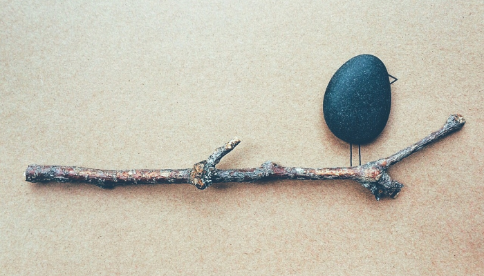 塔拉克的房子里有枪支和子弹 塔拉克的房子里有枪支和子弹