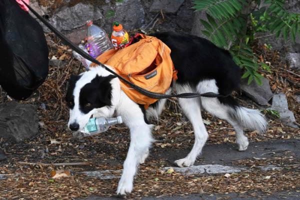 可用版本“镇雄关春天开挂一神器”详细开挂玩法 可用版本“镇雄关春天开挂一神器”详细开挂玩法