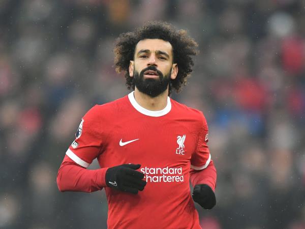 开挂辅助工具“微乐麻将挂试用一天”(曝光透视必备猫腻)