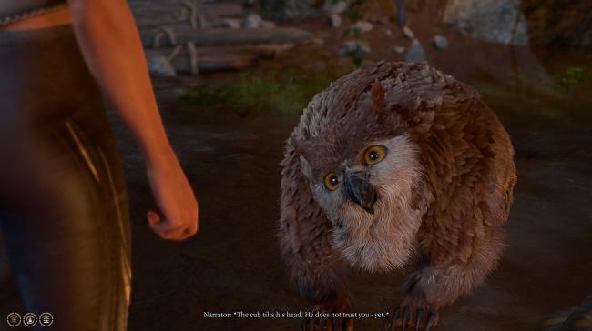 玩家辅助神器：“微乐卡五星小程序开挂方法下载”详细开挂玩法