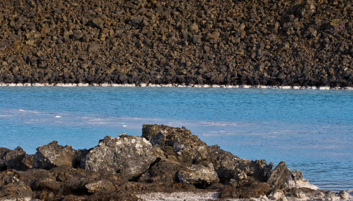 开挂辅助工具“新蛮王金花有挂吗”(原来确实是有挂) 开挂辅助工具“新蛮王金花有挂吗”(原来确实是有挂)