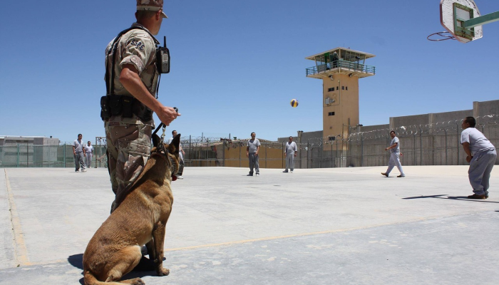 推荐一款”佛手在线可以开挂吗”(原来确实是有挂) 推荐一款”佛手在线可以开挂吗”(原来确实是有挂)