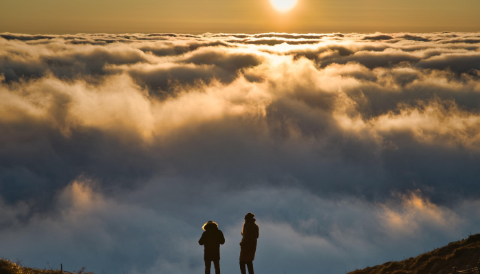 印控署逮捕了涉嫌洗钱25亿卢比案的前查谟克什米尔合作银行主席