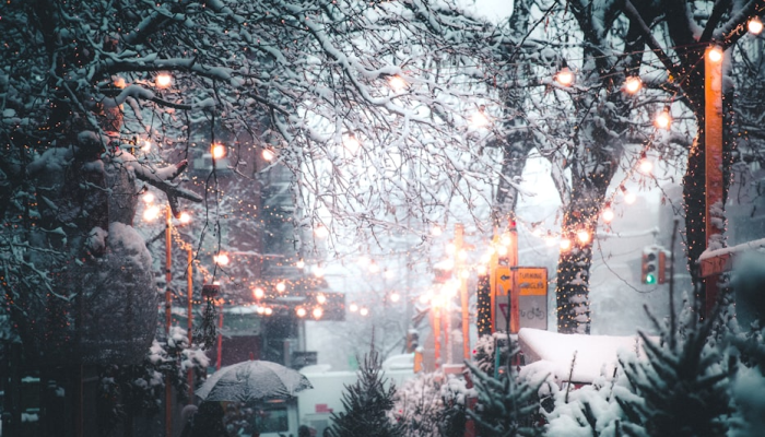 冬季风暴路径：预计周一晚上到周二纽约市三州将下雪