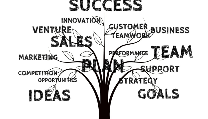 1分钟学会“青鸟大厅有挂吗!详细分享装挂步骤 1分钟学会“青鸟大厅有挂吗!详细分享装挂步骤