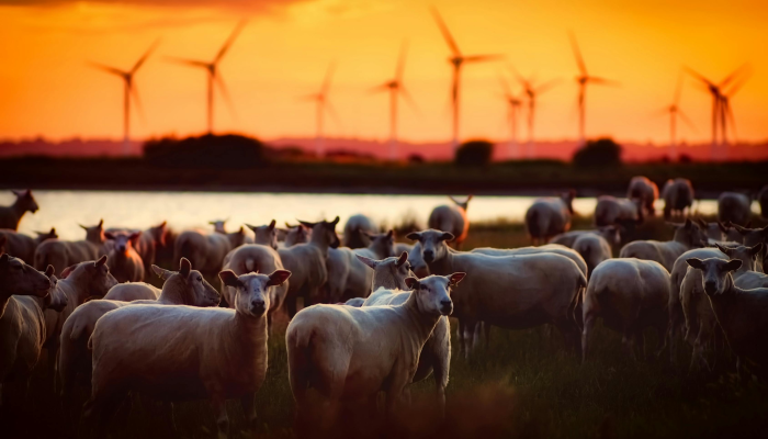 《喀拉拉邦的故事》的生意比《Pathaan》好，小电影在2023年的盈利能力最高