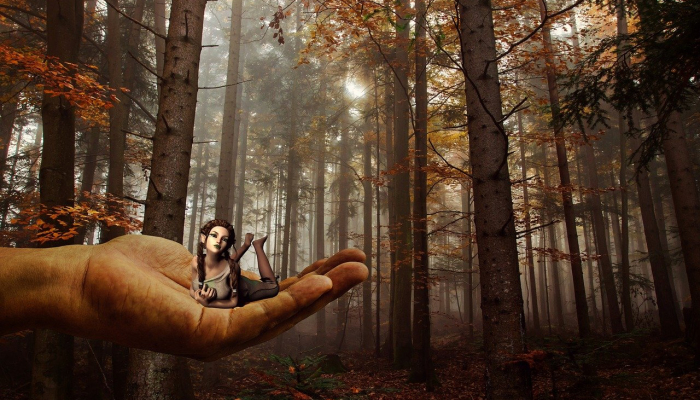 《喀拉拉邦的故事》的生意比《Pathaan》好，小电影在2023年的盈利能力最高